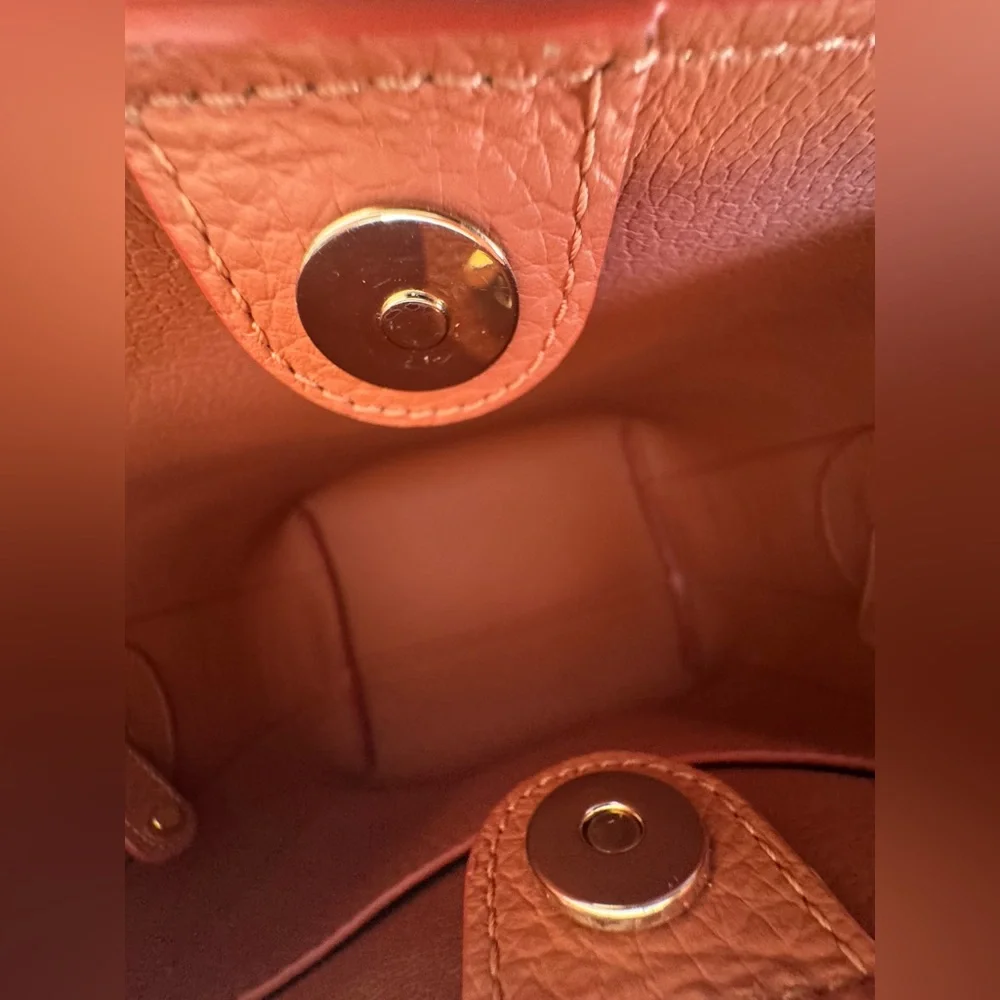 NWOT Cuyana Linea Bag in Terracotta Pebbled Leather